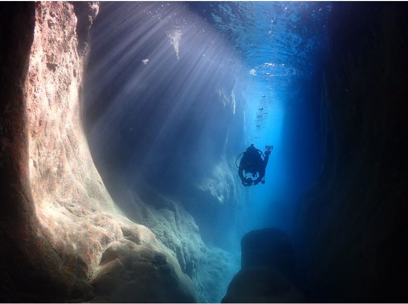 アクアトリップダイビング AQUA TRIP DIVINGの最新写真