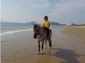 [Fukuoka Munakata] enjoy the horse riding! Beach Riding (Baba lessons +1 hour out of power)