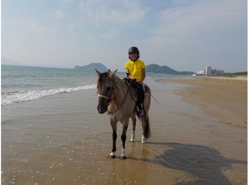 【福岡・宗像】乗馬を満喫！ビーチ乗馬体験（馬場レッスン＋1時間外乗）の画像