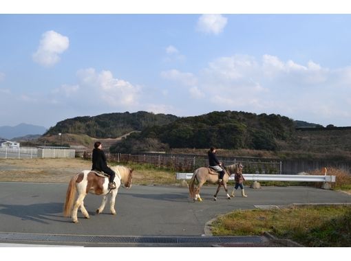 [ 후쿠오카 · 무나카타 ] 혼자서 승마 체험! 미니 遠乗り (20 분 산책 코스)の画像