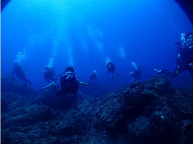 【東京・八丈島】八丈ブルーの海に大満足の2ダイブプラン！