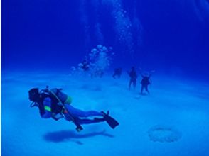 【沖縄・小浜島】半日でも楽しみたい！ファンダイビング1DIVE(半日)
