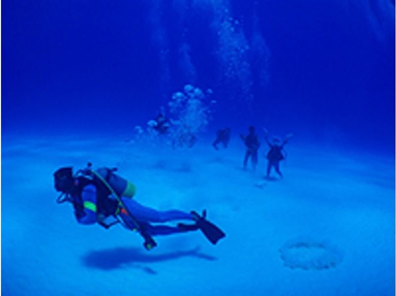 【沖縄・小浜島】半日でも楽しみたい！ファンダイビング1DIVE(半日)