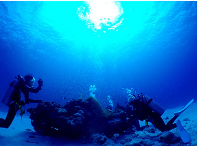 【沖縄・小浜島】八重山の海の感動を届けます！ファンダイビング 2～3DIVE(1日)