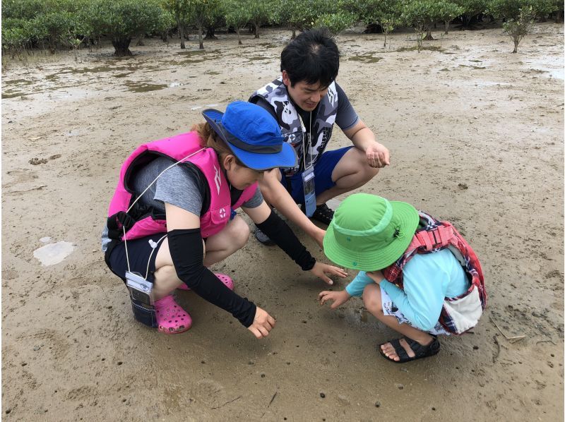 ★可包場★【【【鹿児島·奄美大島】傑克和豆樹，瀑布和紅樹林獨木舟之旅の紹介画像