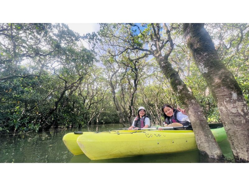 [Kagoshima/Amami Oshima] Jack and the Beanstalk, Waterfall and Mangrove Canoe Tour. Privately Ok.