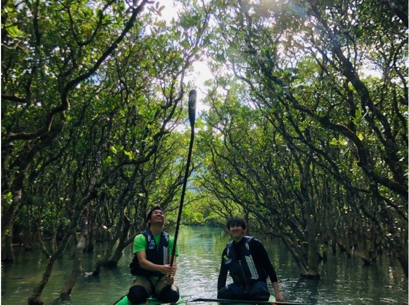 [Kagoshima / Amami Oshima popular tour] Mangrove leisurely tour with SUP ★ Charterable ★の紹介画像