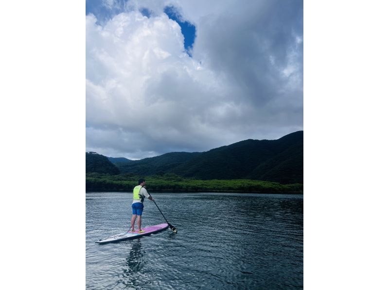 SALE! [Popular tour in Kagoshima and Amami Oshima] Relaxing mangrove tour on SUP ★Private tour available★の紹介画像