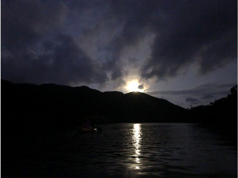 ★ Charter information ★ [【 Kagoshima ・ Amami Oshima】 Go with Outrigger Canoe! Mangrove Night Canoe Tour (120 minutes)の紹介画像
