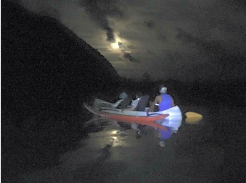 ★ Charter information ★ [【 Kagoshima ・ Amami Oshima】 Go with Outrigger Canoe! Mangrove Night Canoe Tour (120 minutes)の紹介画像