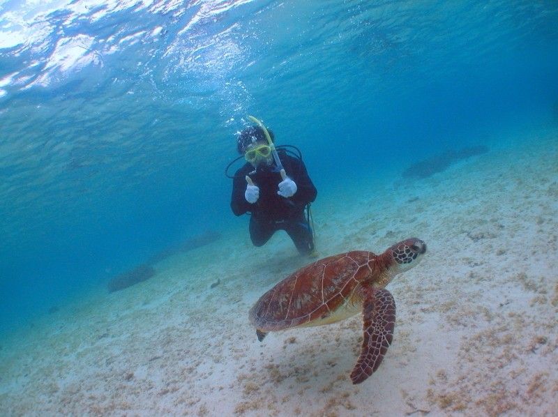 [Okinawa ・ Miyakojima 】it's beautiful underwater Guide to the world! Experience Diving Course (beach dive)の紹介画像
