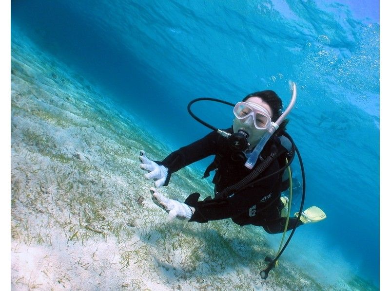 [沖縄-宮古島美麗的海底世界指南！經驗深潛球場（沙灘潛水）の紹介画像