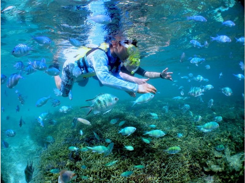 [沖縄-宮古島Anemonefish＆珊瑚觀賞（沙灘呼吸管道）の紹介画像