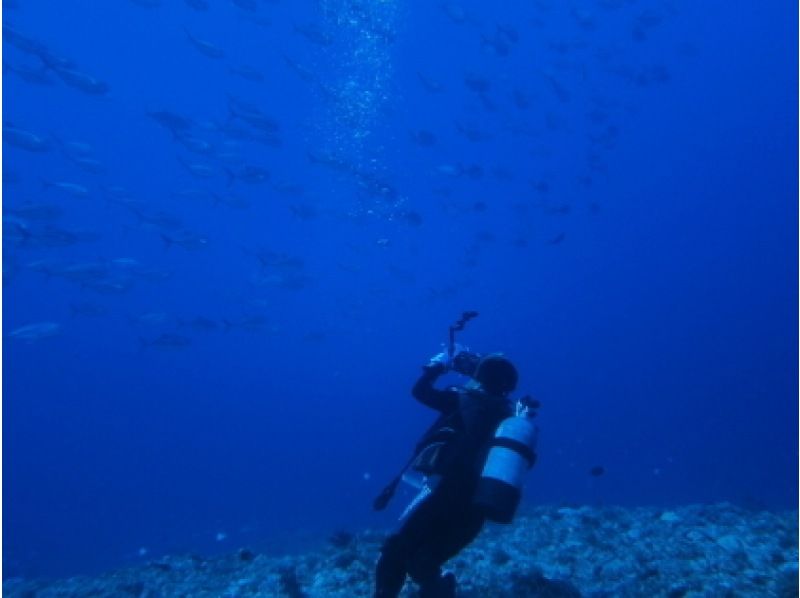 [沖繩浦添]許可！ PADI開放水域潛水員課程/ C卡取得路線の紹介画像