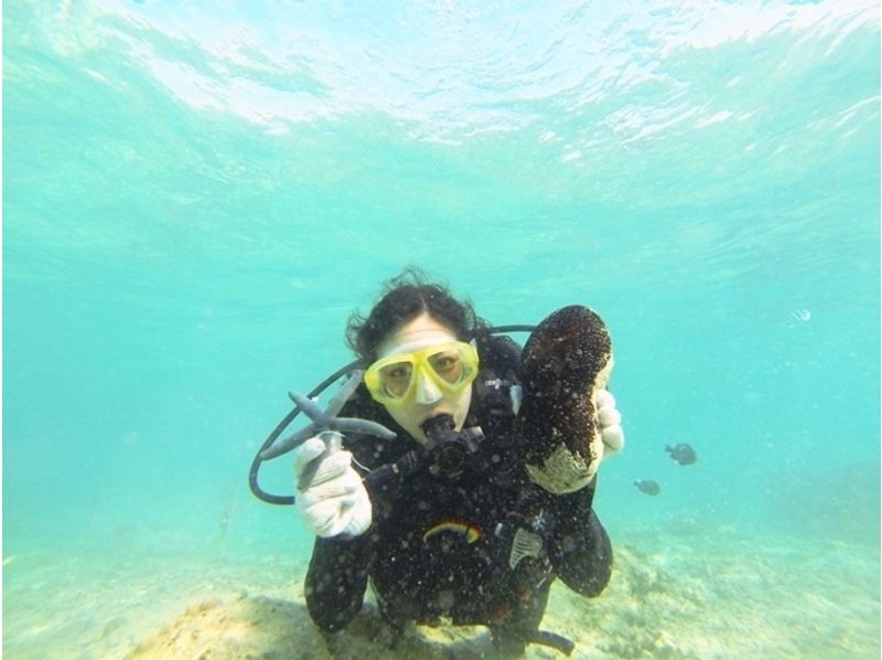 [沖繩縣國頭郡]瀨底島體驗潛水[海灘入口]の紹介画像
