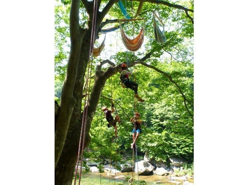 樹上満喫 木のぼりツアー ［1組貸切アクティビティ］ | アクティビティ