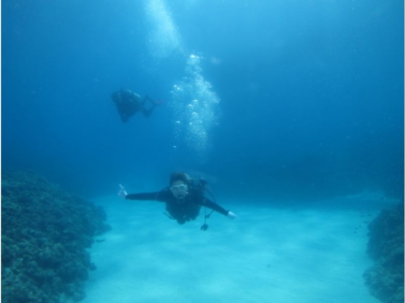 [沖繩浦添船風扇潛水（慶良間，Chibishi，課程，如萬座寬）の紹介画像