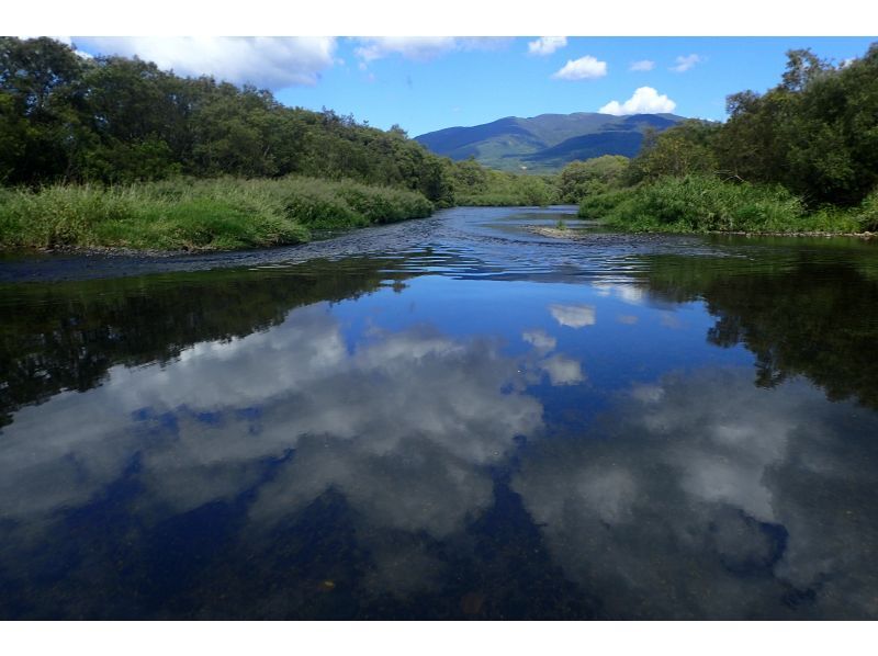 [Hokkaido /Niseko] SUP river down in the great outdoors ♪ Enjoy various spectacular scenery spreading in front of you!の紹介画像