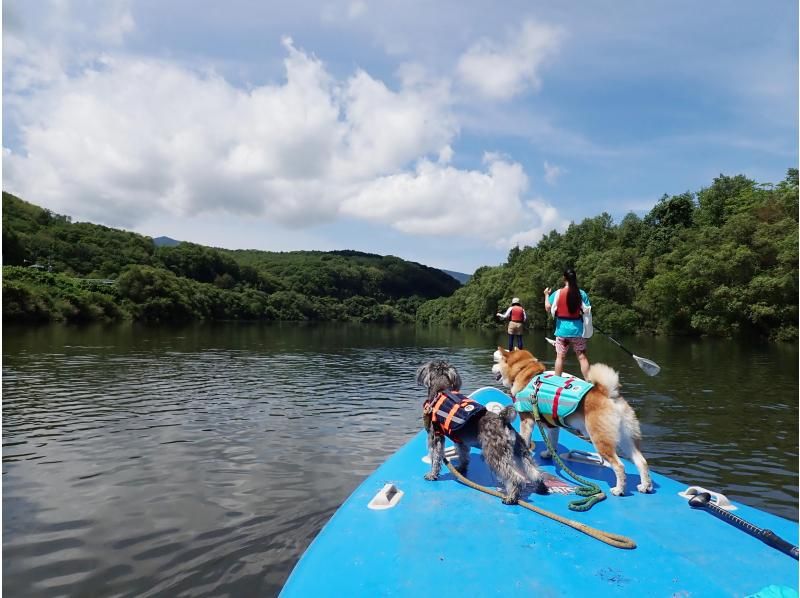 【北海道・ニセコ】安定感随一！MONSTER SUP（モンスターサップ）体験