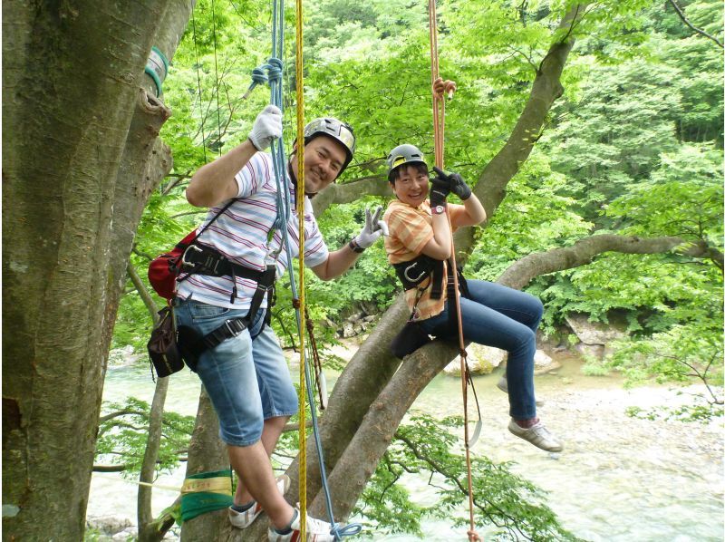 Entrance to the great nature! Tree-felling experienceの紹介画像