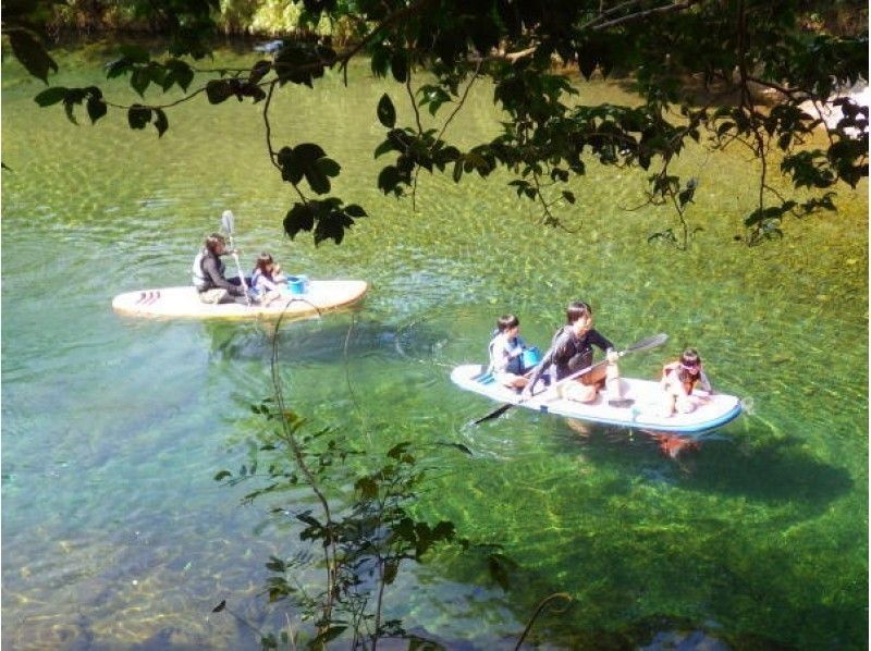 [Tokushima/Mugi] [0 years old and up/pets allowed] Recommended for beginners and families! SUP (Stand Up Paddle) experienceの紹介画像