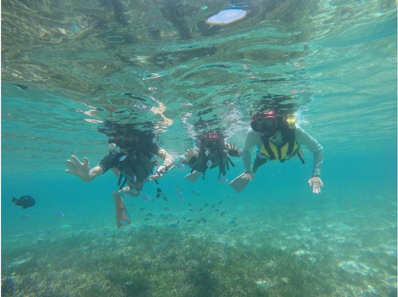 【沖縄・備瀬】2つのマリンスポーツを体験！カヤック＆シュノーケリング体験（120分）の紹介画像