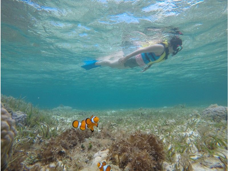 [Okinawa Bise] experience the two marine sports! Kayaking and snorkeling experience (120 minutes)の紹介画像