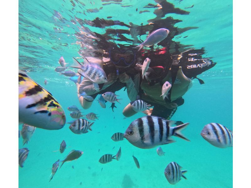 【沖縄・備瀬】2つのマリンスポーツを体験！カヤック＆シュノーケリング体験（120分）の紹介画像