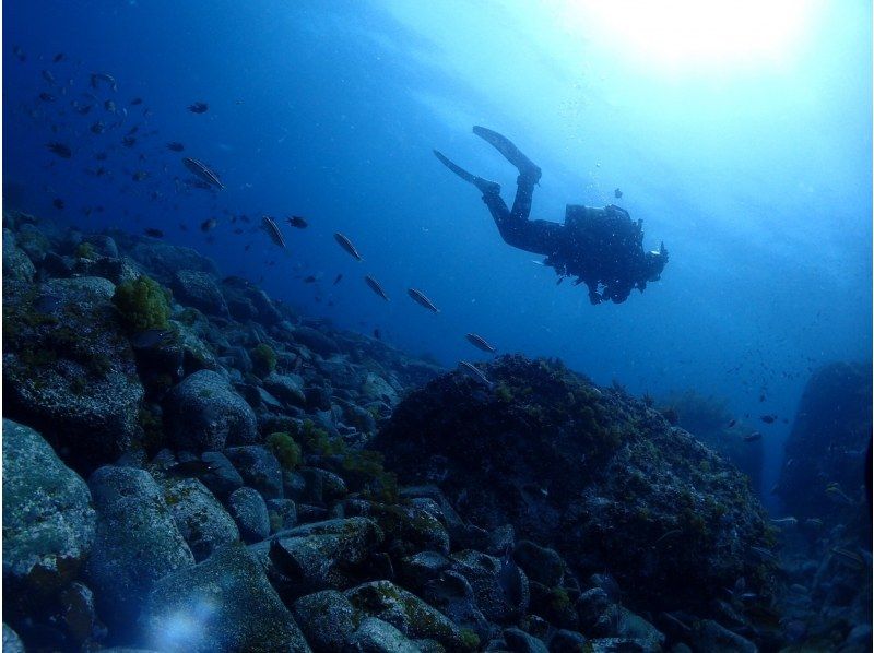 SALE！【福井・音海】透き通る視界30メートル！夏の日本海＜冠島＆浅