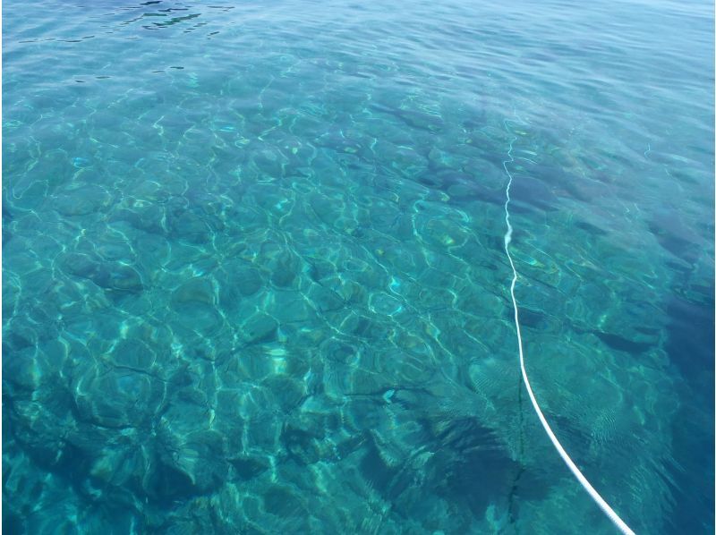 [Fukui-Otoumi] 30 meters clear sight! Summer Sea of Japan ＜ Crown Island & Asakuri ＞ 2 Diving!