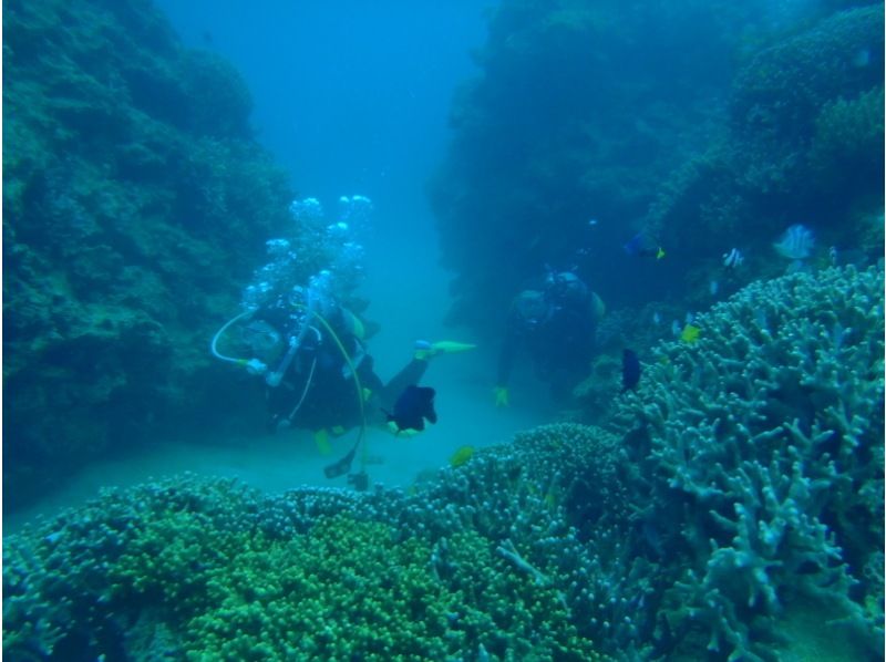 【沖縄 恩納村青の洞窟】『青の洞窟ボート体験ダイビング』専属ガイドとGoproカメラ・タオルレンタル付の紹介画像