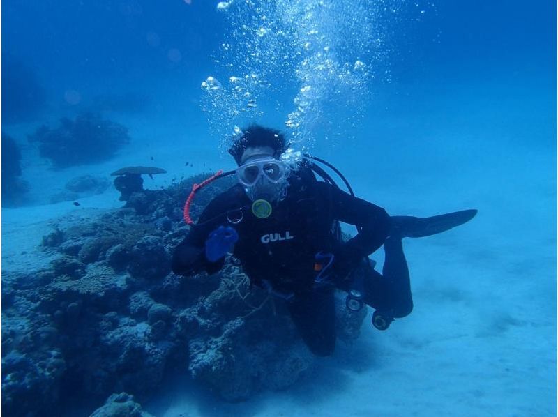 [沖繩宮古島粉絲潛水潛水2-3的授權の紹介画像