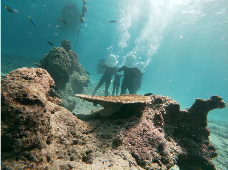 【沖縄 恩納村】 8歳からの水中散歩ボートシーウォーク Goproカメラ・タオルレンタル付の紹介画像