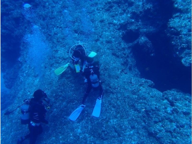 [沖繩宮古島]潛水執照課程開放水域（OW）の紹介画像