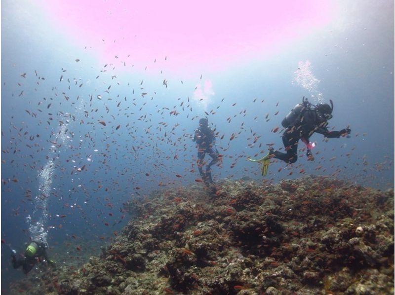 [沖繩宮古島]潛水執照課程開放水域（OW）の紹介画像