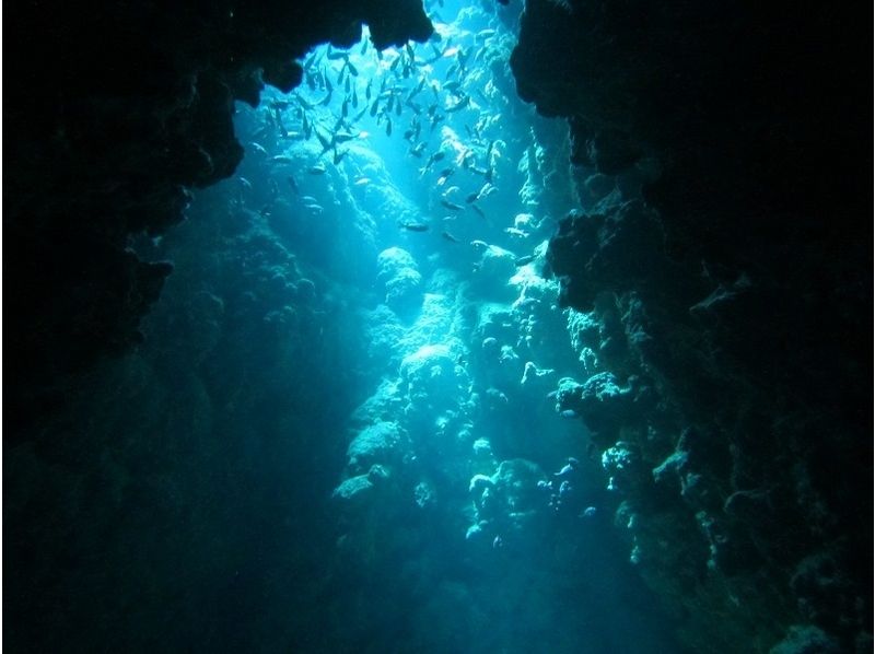 [沖繩宮古島] 2-3潛水的洞穴潛水執照收購の紹介画像