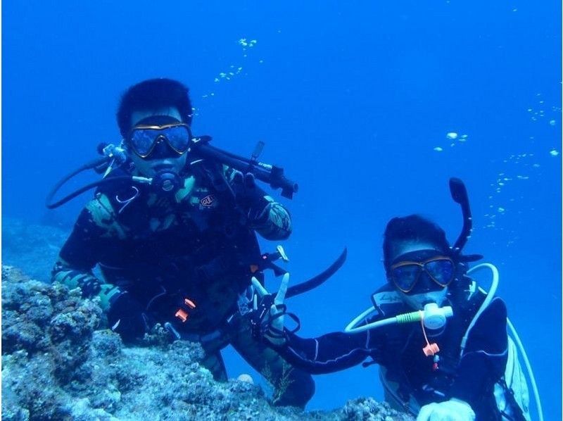 Recommended activity diving in Irabu Island