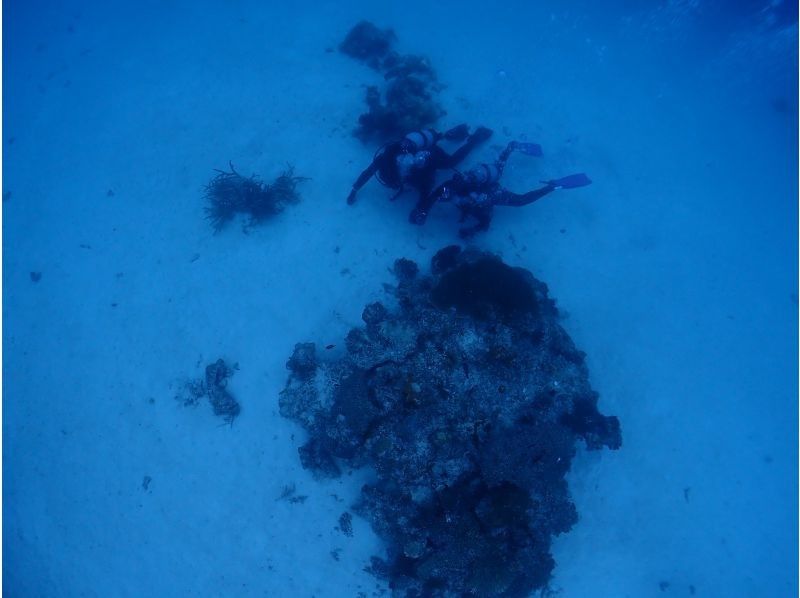 【沖縄・宮古島】八重干瀬～池間島　ファンダイビングツアー　サンゴの園のお手軽ファンダイブの紹介画像
