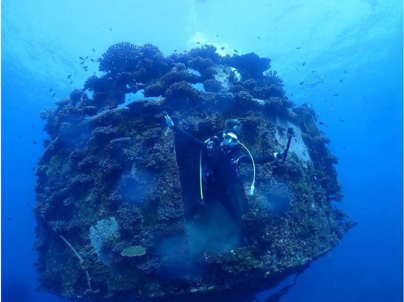 【沖縄・宮古島】八重干瀬～池間島　ファンダイビングツアー　サンゴの園のお手軽ファンダイブの紹介画像