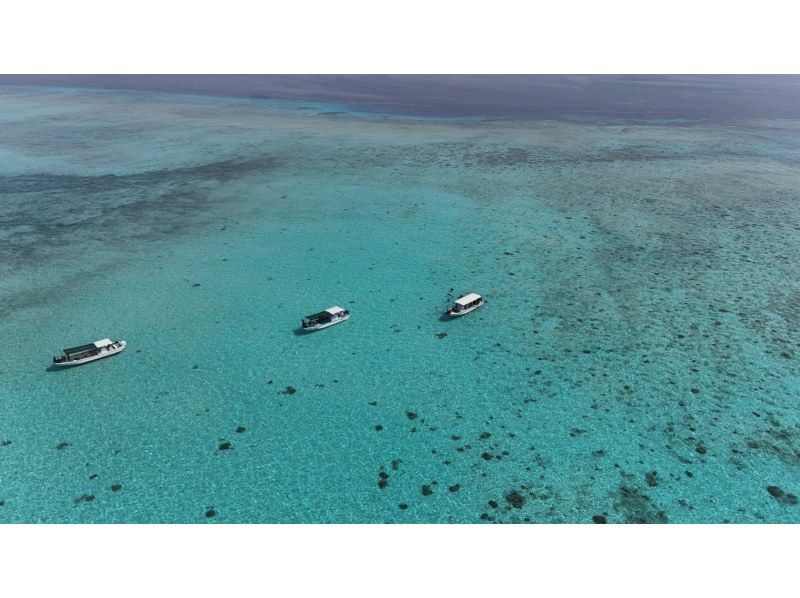 【沖縄・宮古島】八重干瀬～池間島　ファンダイビングツアー　サンゴの園のお手軽ファンダイブの紹介画像