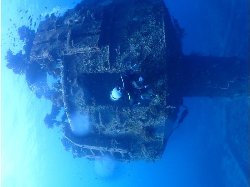 【沖縄・宮古島】八重干瀬～池間島　ファンダイビングツアー　サンゴの園のお手軽ファンダイブの紹介画像