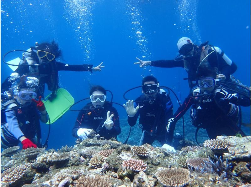 [Okinawa Ishigaki Island] Experience diving and snorkeling for a full day ☆ Visit 2-3 places ♪ You can also have plenty of snorkeling! OK from 8 years oldの紹介画像