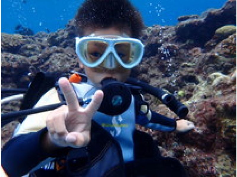 [Okinawa Ishigaki Island] Experience diving and snorkeling for a full day ☆ Visit 2-3 places ♪ You can also have plenty of snorkeling! OK from 8 years oldの紹介画像
