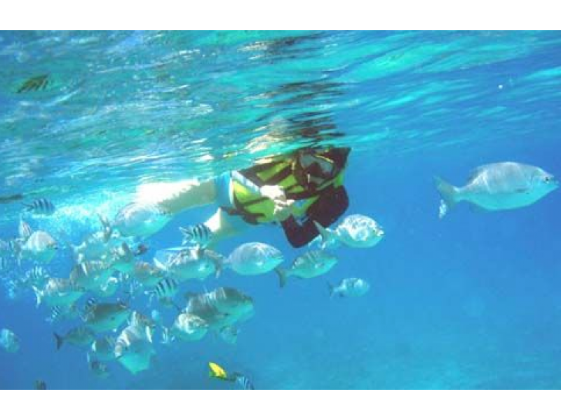 [Okinawa Prefecture Nanjo] uninhabited island snorkeling in the <fine Island>の紹介画像