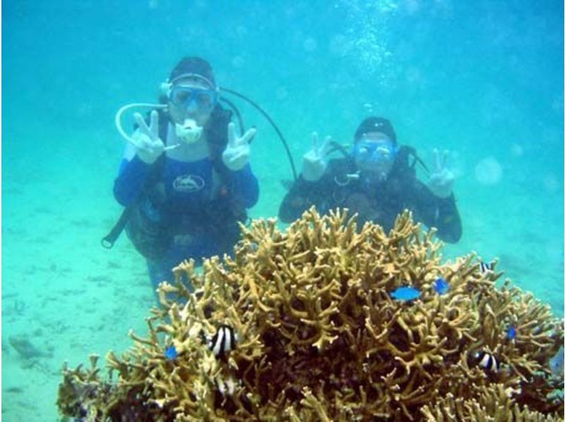 [沖縄縣，全島]短期密集型2.5天，PADI開放水域潛水員執照取得の紹介画像
