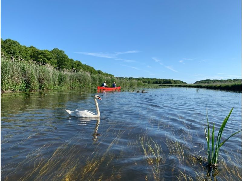 [Hokkaido Bibigawa] lush Chitose Bibigawa canoe touring (natural Fureai half course)の紹介画像