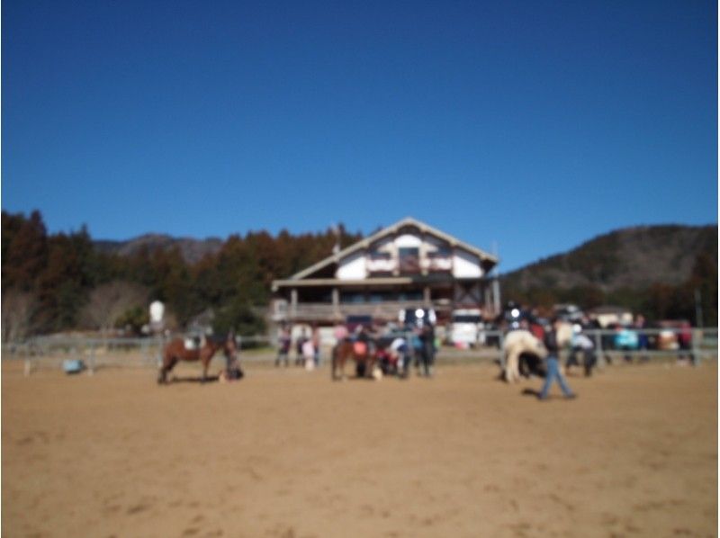 【茨城・石岡】初心者でも大丈夫！林道外乗及び場内騎乗【約2時間】の紹介画像