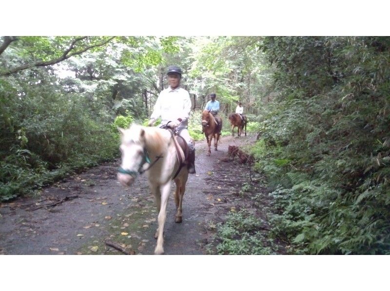 [Ibaraki, Ishioka] okay even for beginners! Forest road outside the power and venue ride [about 2 hours]の紹介画像