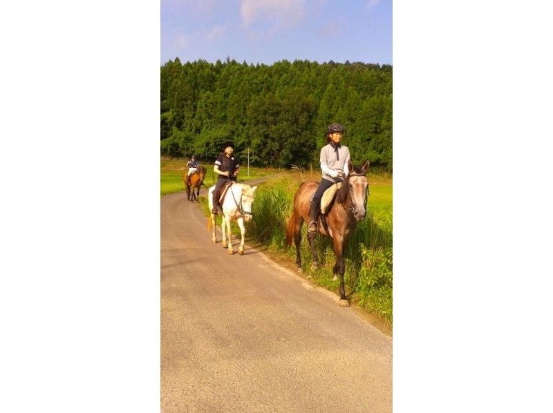 [Ibaraki, Ishioka] okay even for beginners! Forest road outside the power and venue ride [about 2 hours]の紹介画像