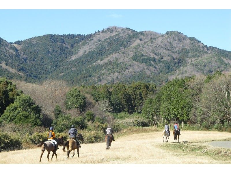 [Ibaraki, Ishioka] Enjoy the forest while riding! Forest road outside power walk of 1 hour and 10 minutes [beginner OK]の紹介画像